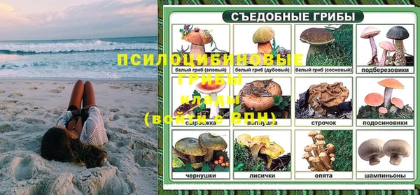 мдпв Бугульма