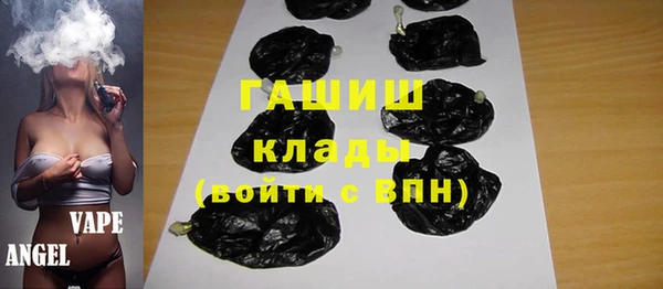 дмт Каменка