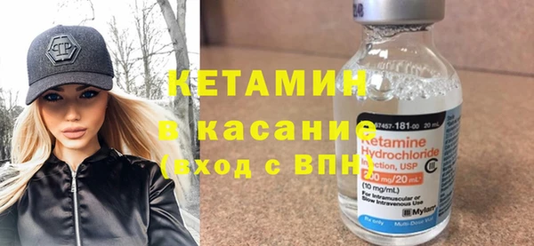 прущие грибы Дмитриев