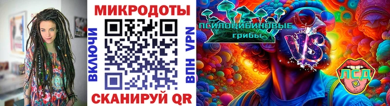 хочу   Дудинка  Галлюциногенные грибы Magic Shrooms 