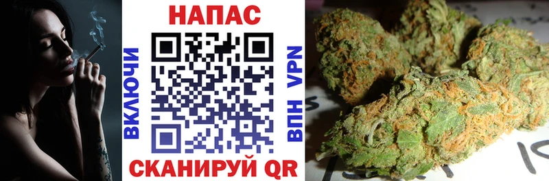 купить наркоту  Дудинка  Конопля индика 